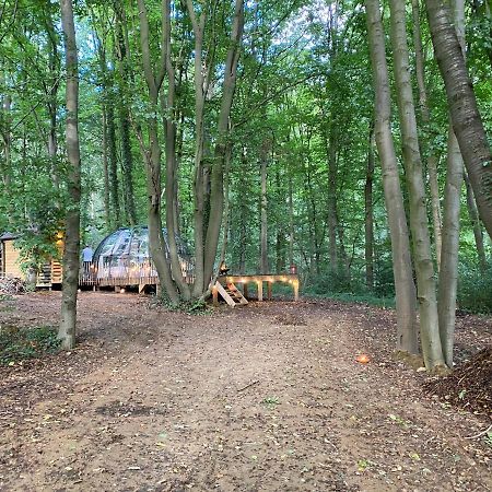 Le Dome De Namur - Une Nuit Insolite Dans Les Bois 外观 照片