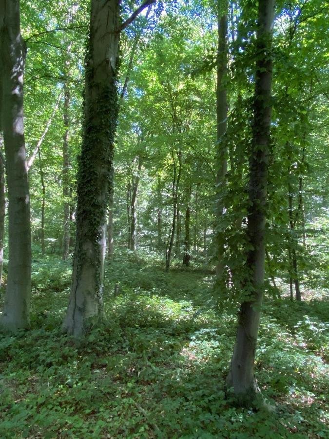 Le Dome De Namur - Une Nuit Insolite Dans Les Bois 外观 照片
