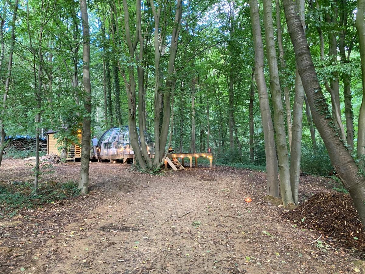 Le Dome De Namur - Une Nuit Insolite Dans Les Bois 外观 照片