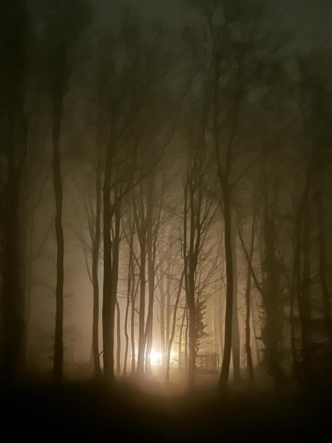 Le Dome De Namur - Une Nuit Insolite Dans Les Bois 外观 照片