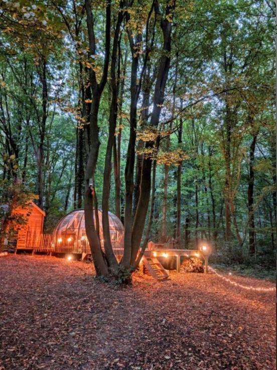 Le Dome De Namur - Une Nuit Insolite Dans Les Bois 外观 照片
