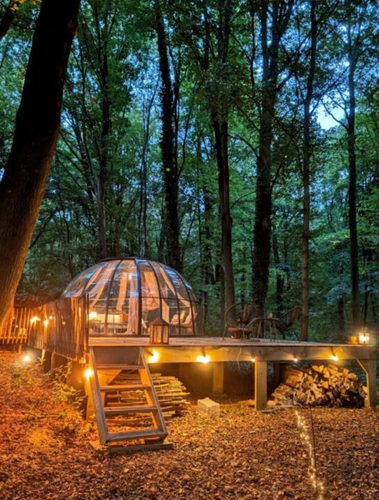 Le Dome De Namur - Une Nuit Insolite Dans Les Bois 外观 照片